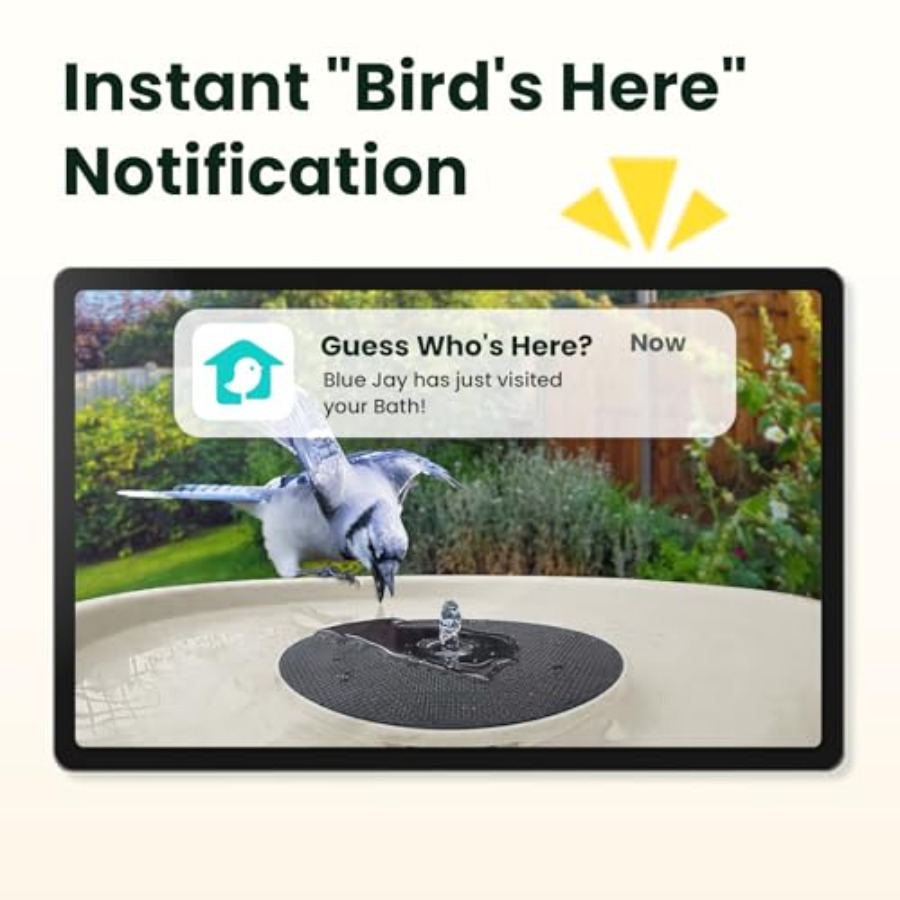 Bird Watching Smart Bird Bath  – Smartwatch Watches Smart Bewertung und Preis