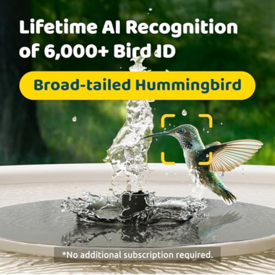 Bird Watching Smart Bird Bath  – Smartwatch Watches Smart Bewertung und Preis